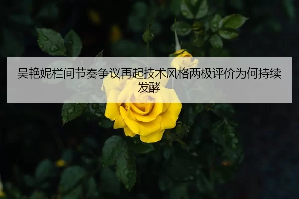 吴艳妮栏间节奏争议再起技术风格两极评价为何持续发酵