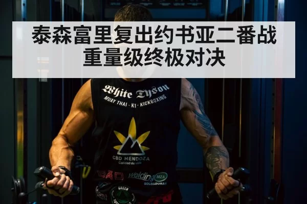 泰森富里复出约书亚二番战 重量级终极对决