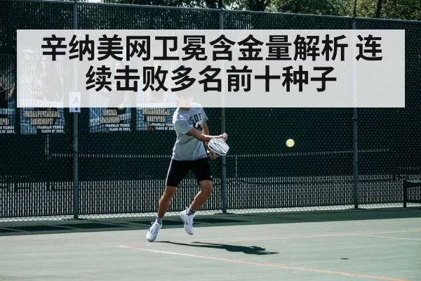 辛纳美网卫冕含金量解析 连续击败多名前十种子